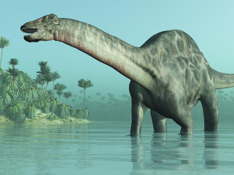 Image: Dinosaur